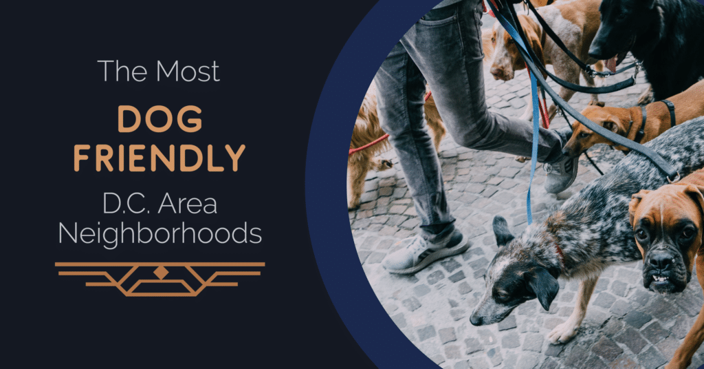 A Guide to DogFriendly D.C. Neighborhoods The Waycroft