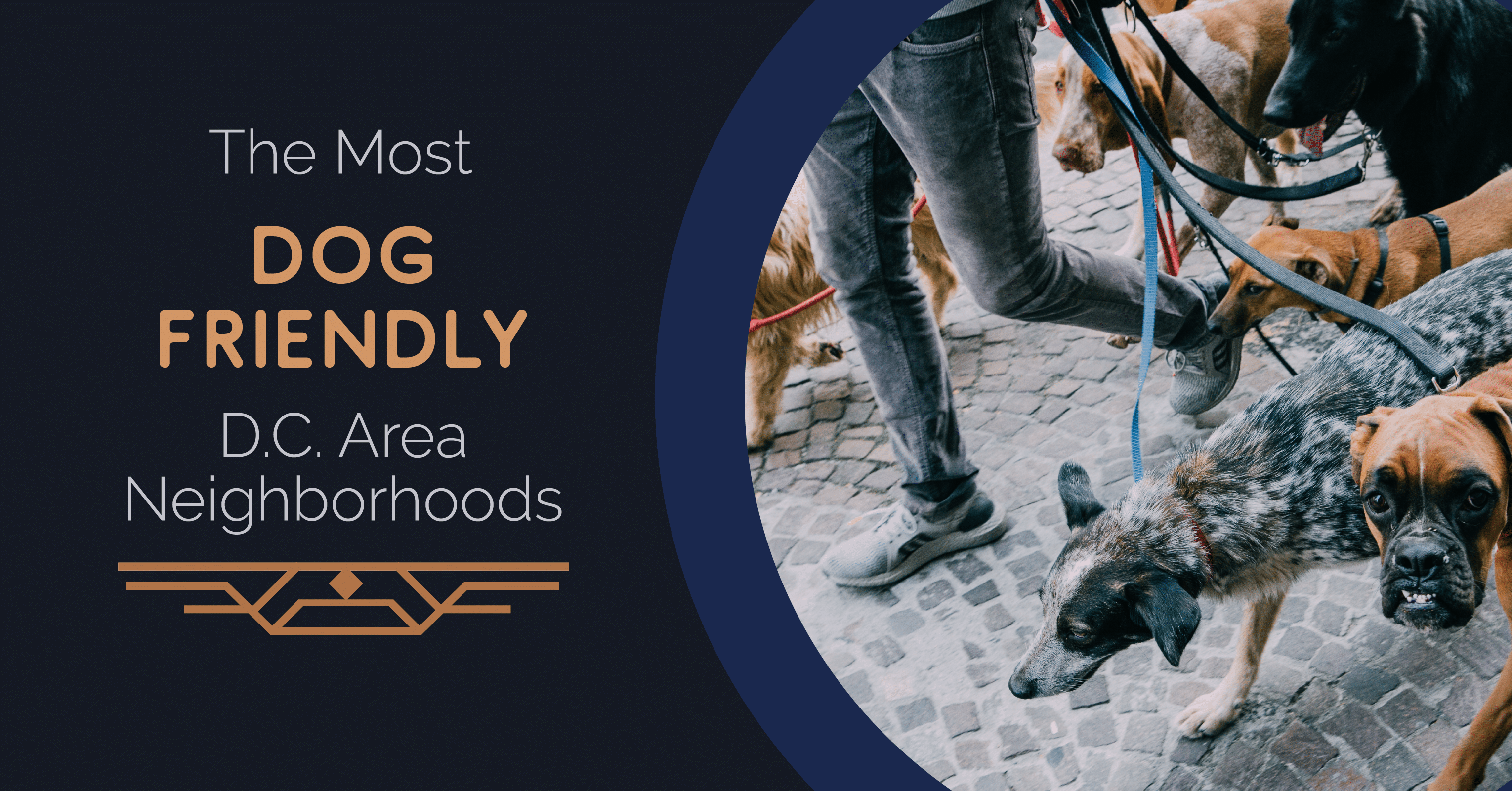 The Most Dog-Friendly D.C. Area Neighborhoods